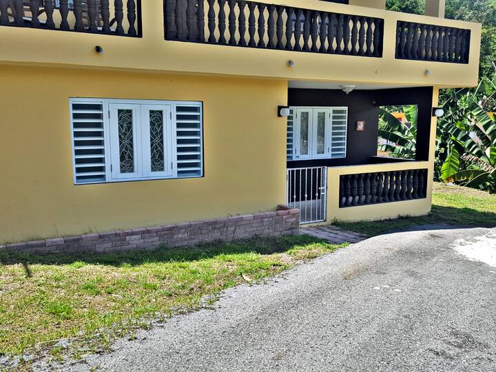 Photo of a property with reference number P35000 in the municipality of Añasco.