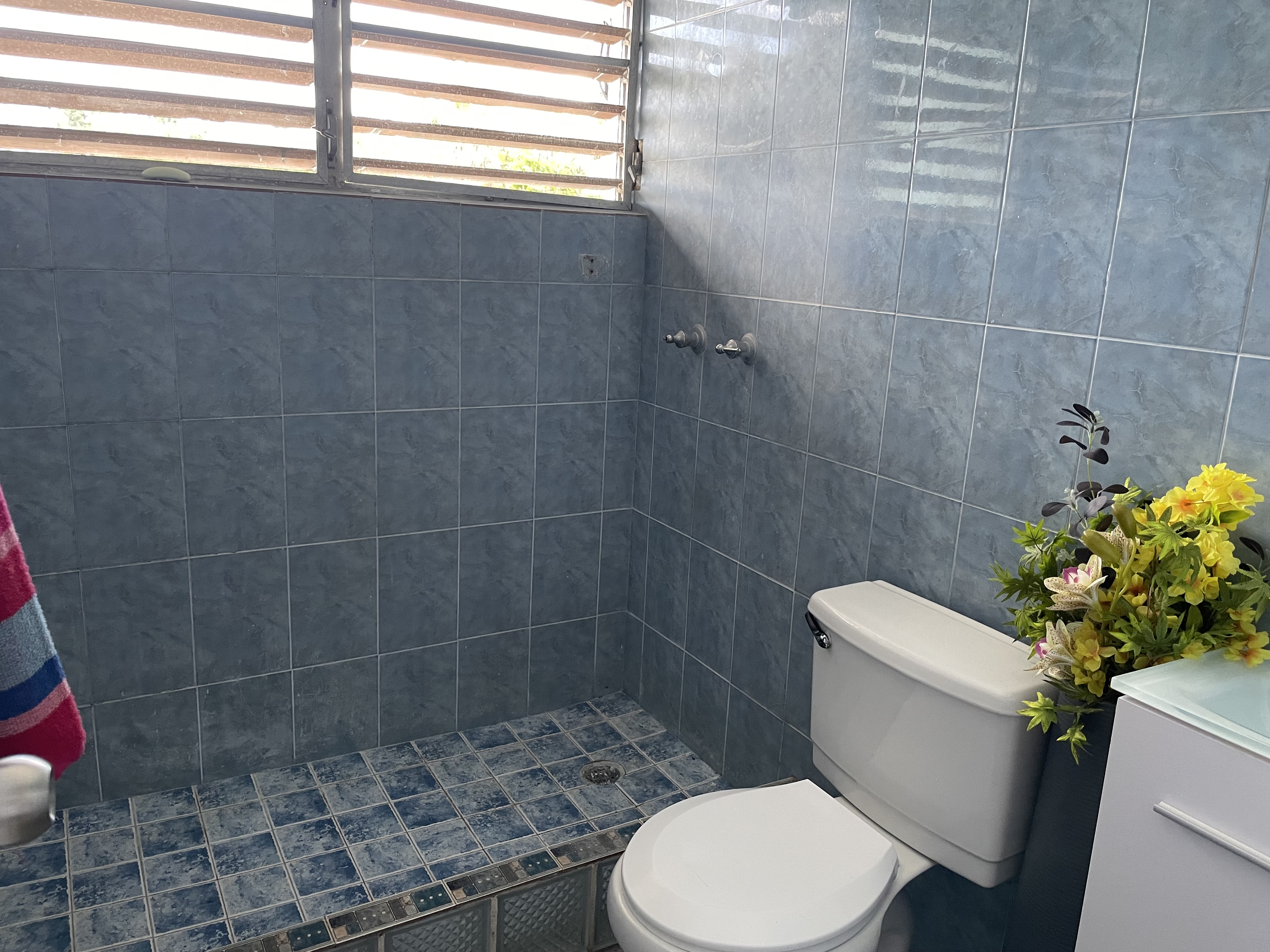 Property Gallery image 3