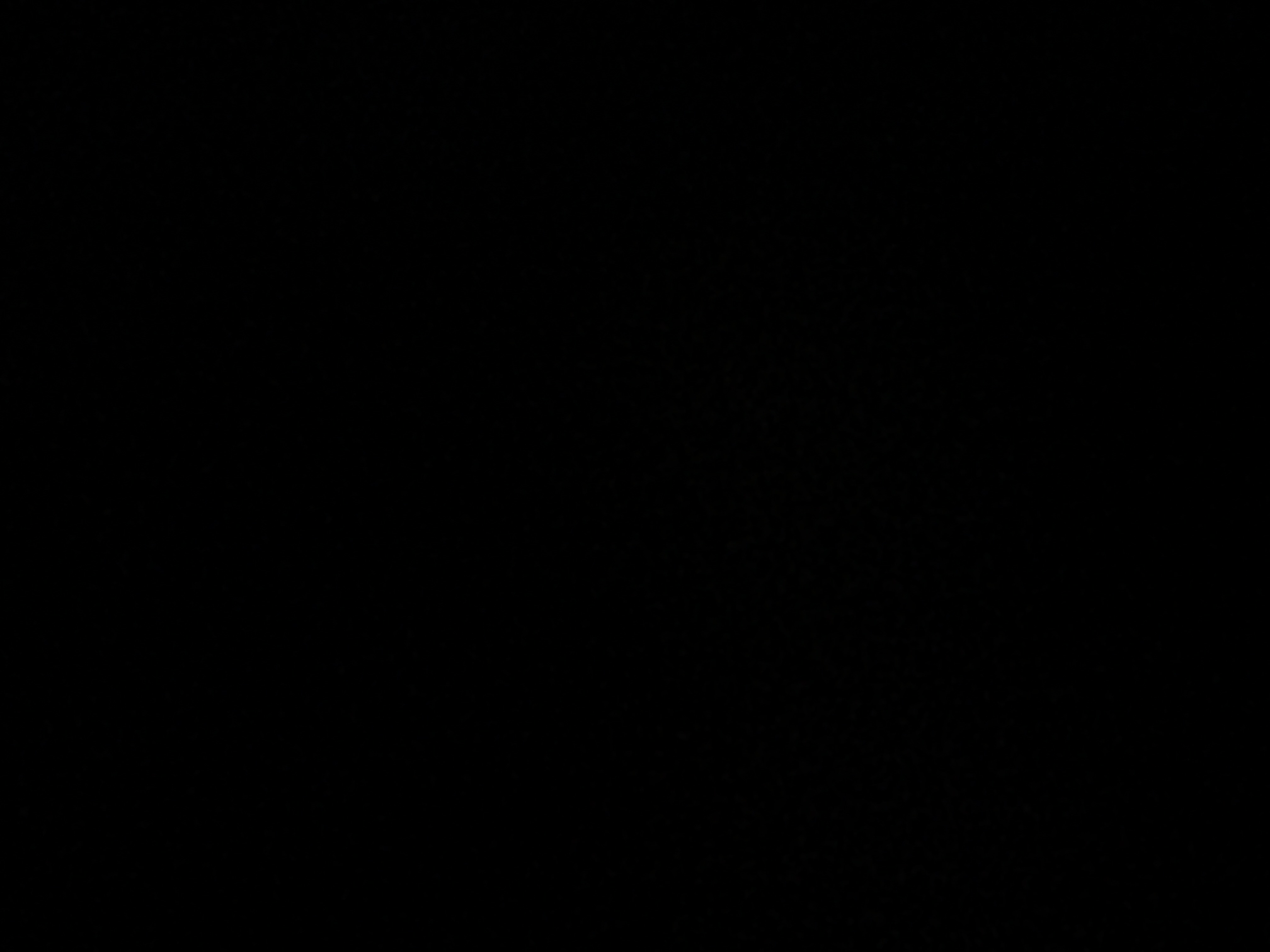 Photo of a property with reference number P332000 in the municipality of Dorado.